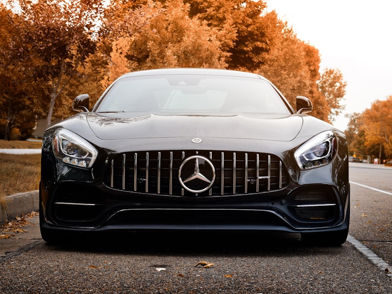 Wildschaden an der Fahrzeugfront